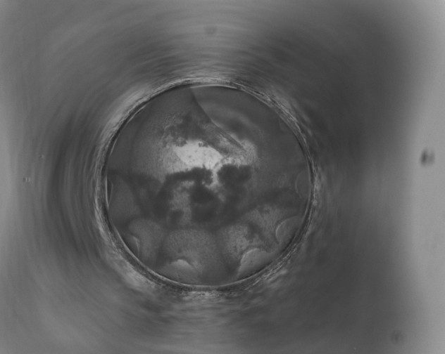 X0000112420145200908211154