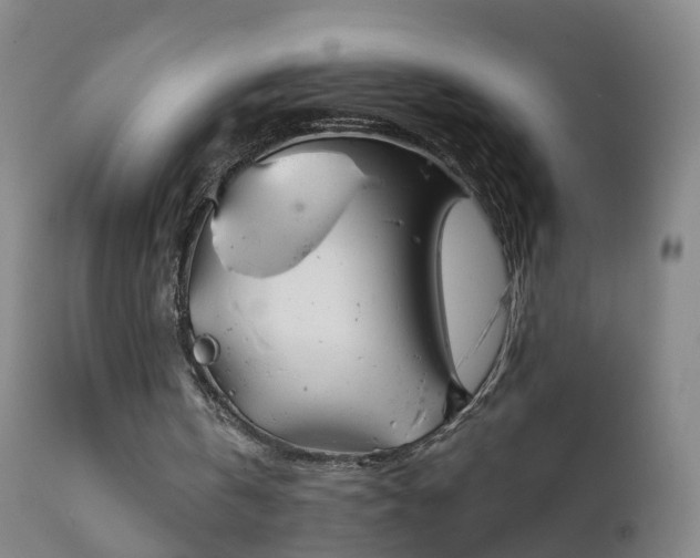 X0000112420146200908211154