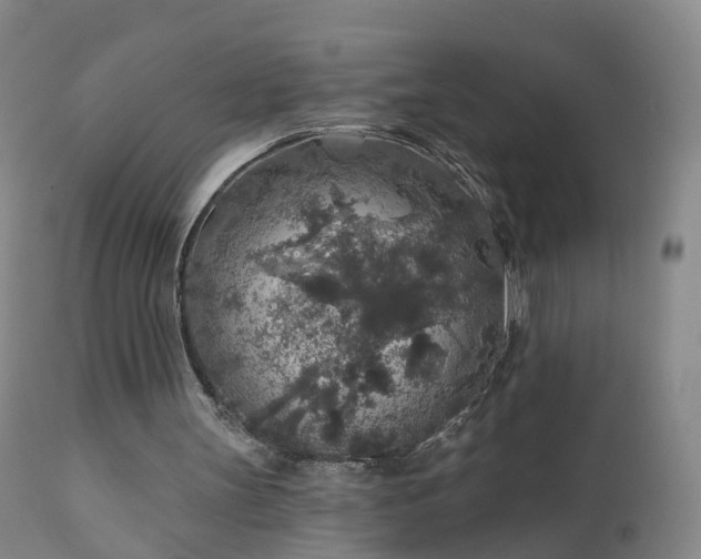 X0000112420147200908211154