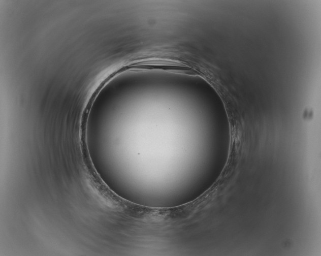 X0000112420148200908211154