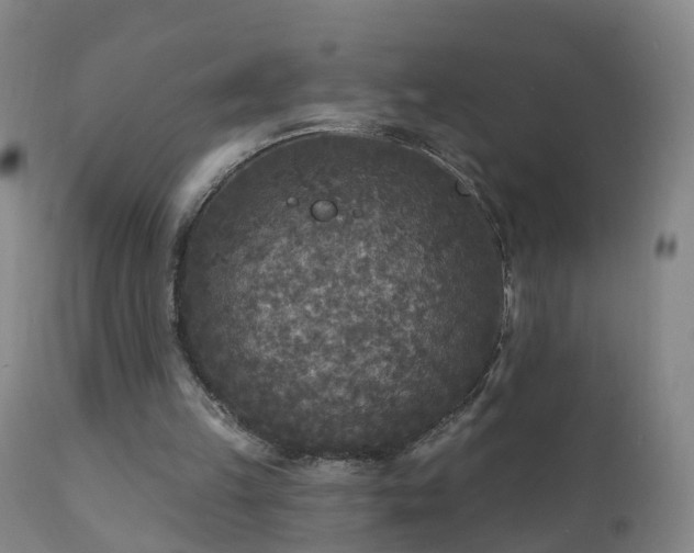 X0000112420149200908211154