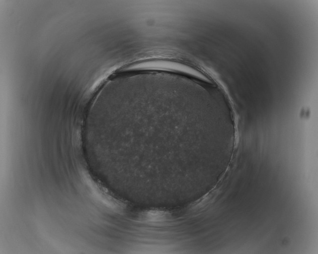 X0000112420154200908211154