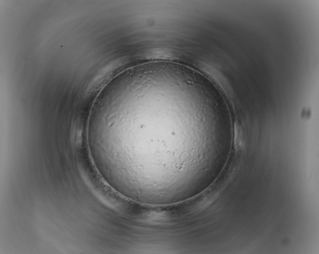 X0000112420157200908211154