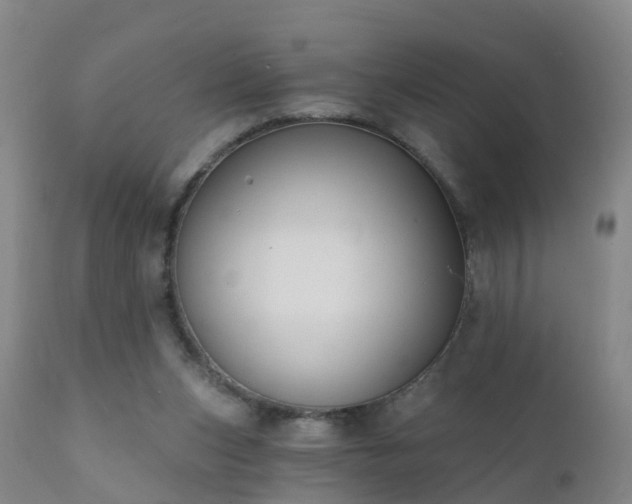 X0000112420159200908211154