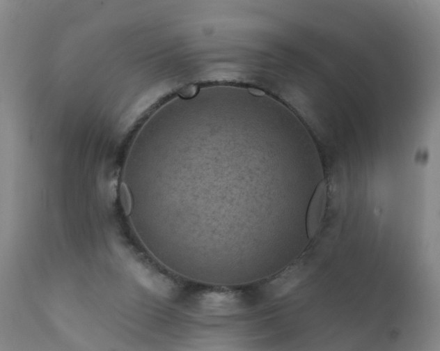 X0000112420160200908211154