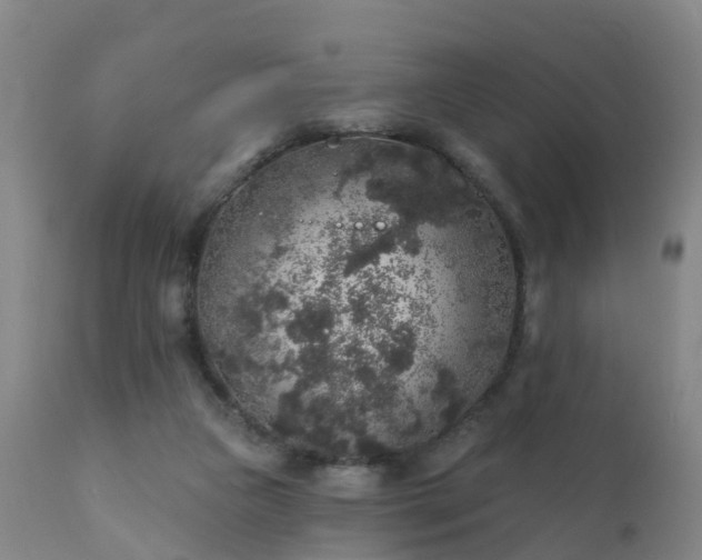 X0000112420161200908211154