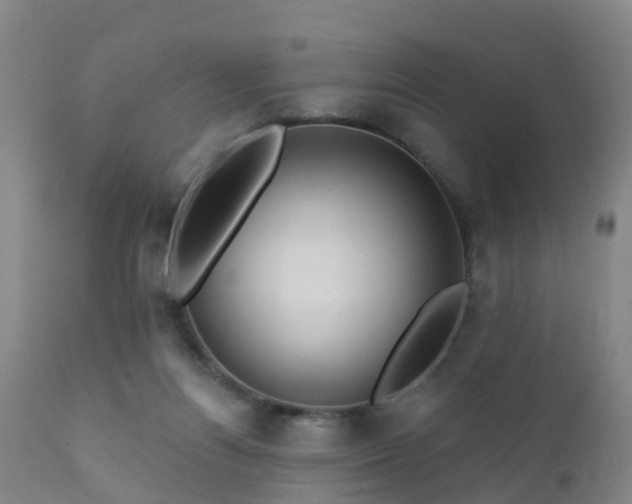 X0000112420164200908211154