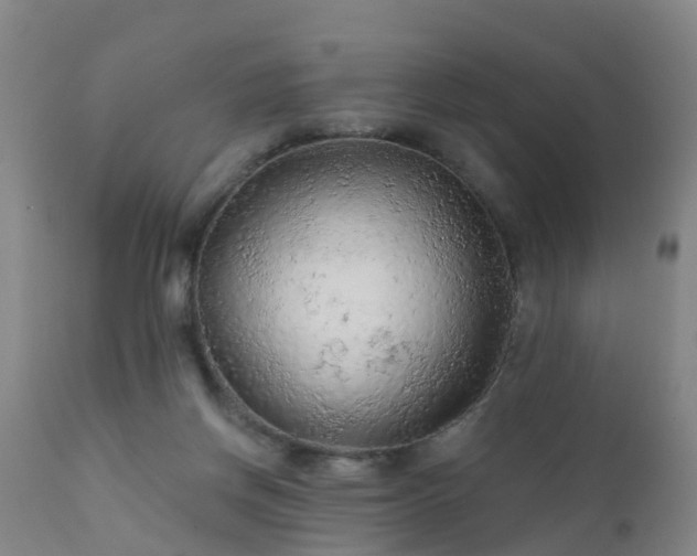 X0000112420166200908211154