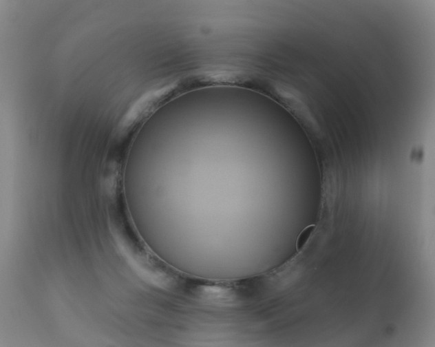 X0000112420167200908211154