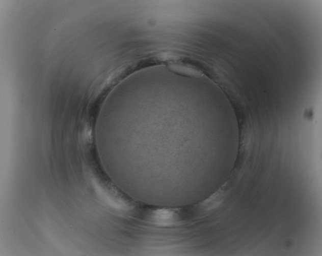 X0000112420176200908211154