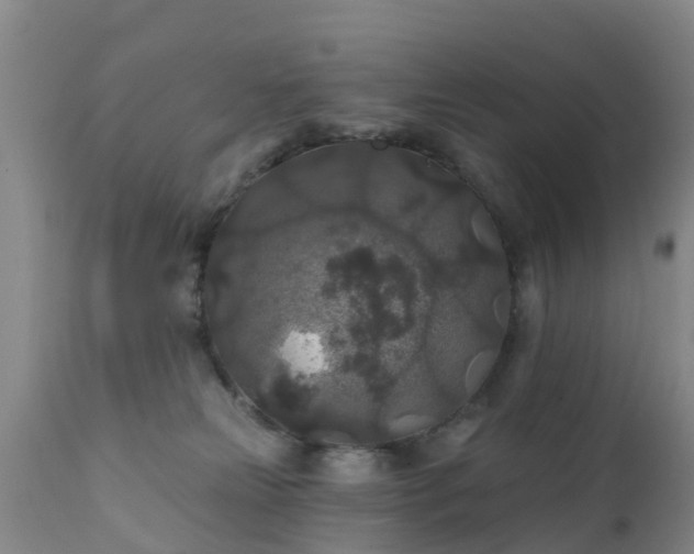 X0000112420181200908211154