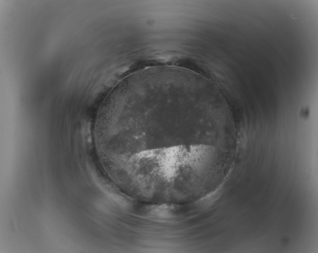 X0000112420182200908211154