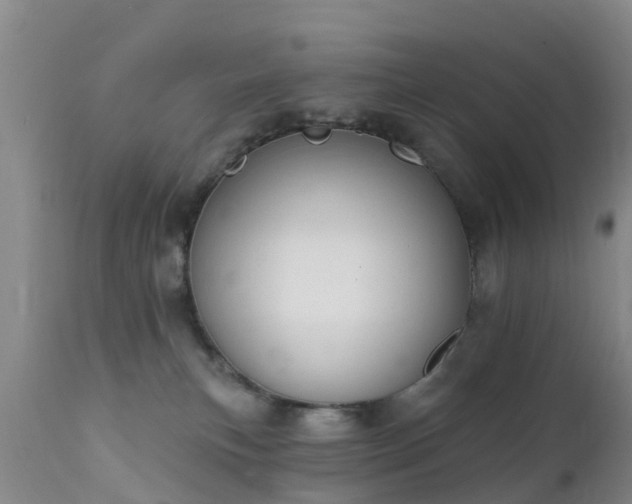 X0000112420183200908211154