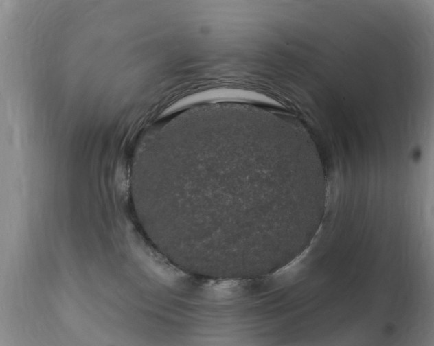 X0000112420186200908211154