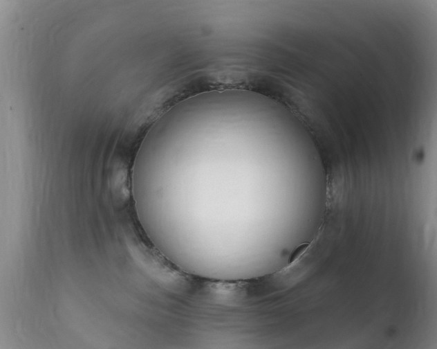 X0000112420187200908211154