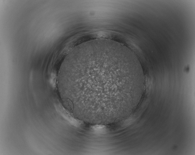 X0000112420189200908211154