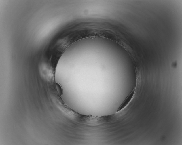 X0000112420191200908211154