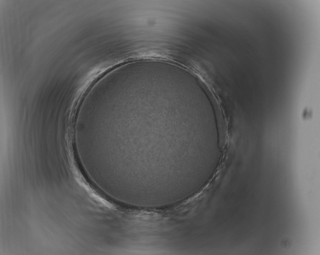 X0000112420193200908211154