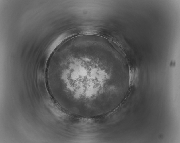 X0000112420195200908211154