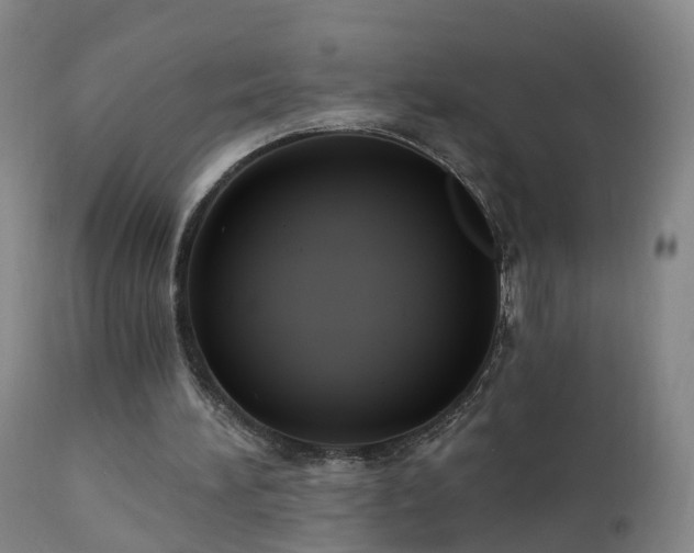 X0000112420196200908211154