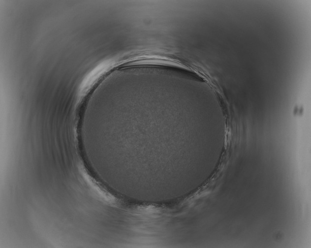 X0000112420197200908211153