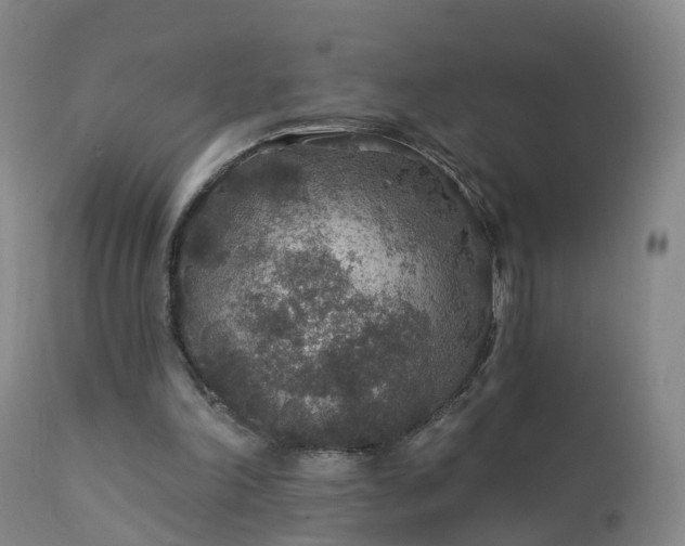 X0000112420198200908211153