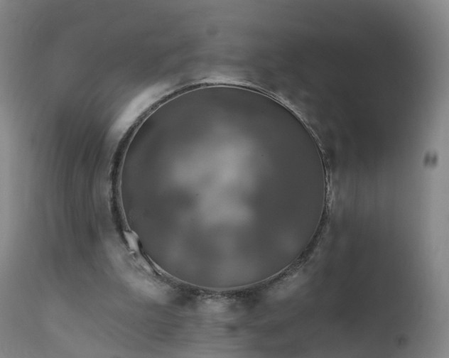 X0000112420199200908211153