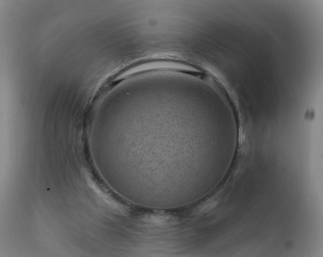 X0000112420201200908211153