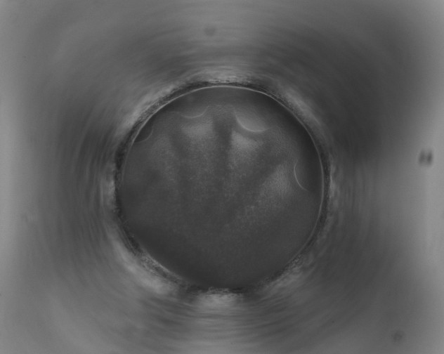 X0000112420202200908211153