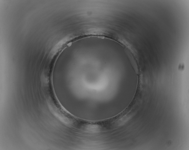 X0000112420203200908211153