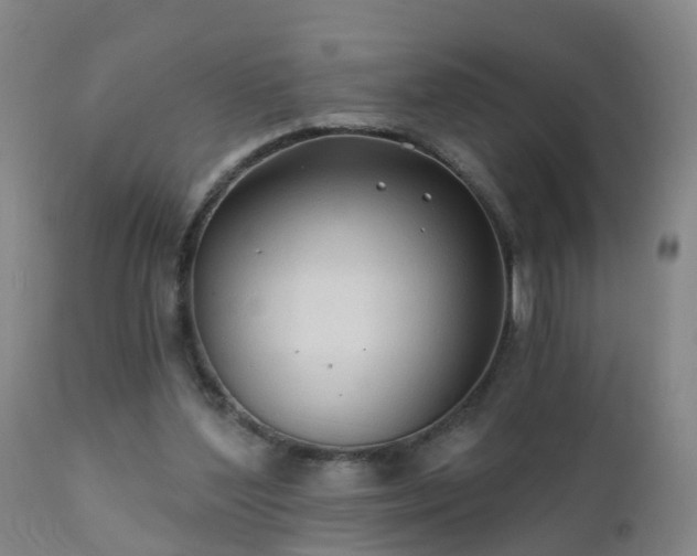 X0000112420204200908211153