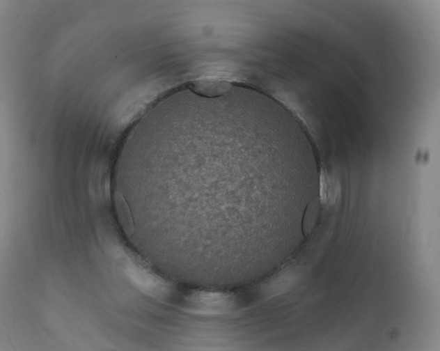 X0000112420205200908211153