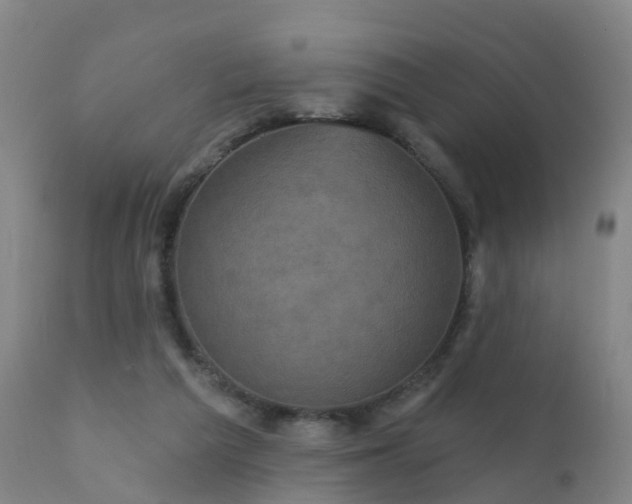 X0000112420209200908211153