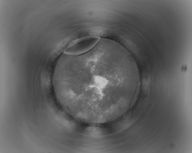 X0000112420211200908211153