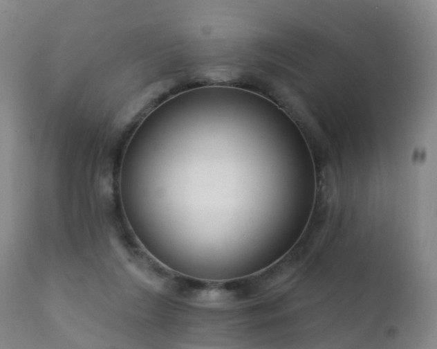 X0000112420212200908211153