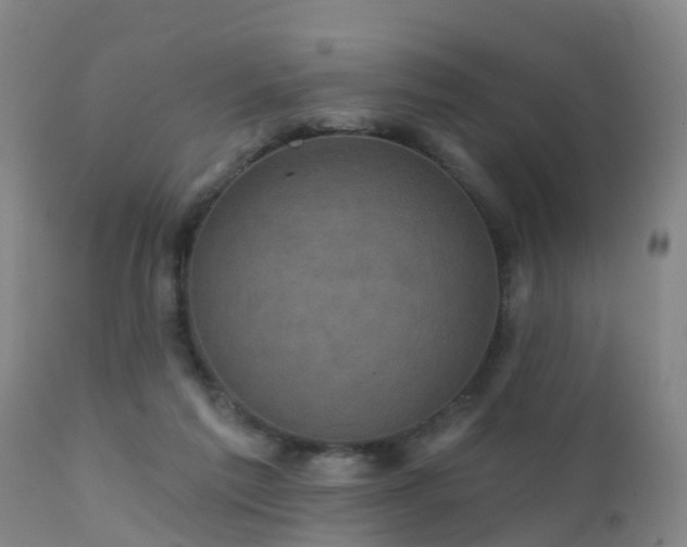 X0000112420213200908211153