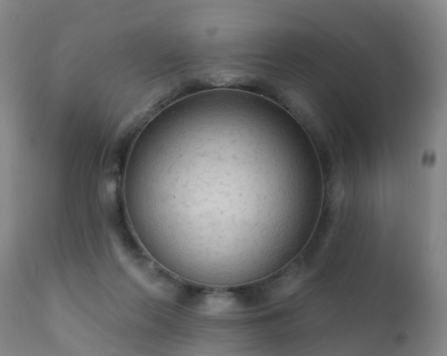 X0000112420214200908211153