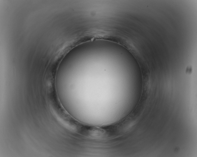 X0000112420215200908211153