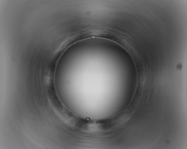 X0000112420216200908211153