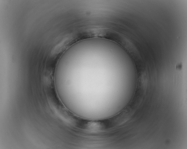 X0000112420218200908211153