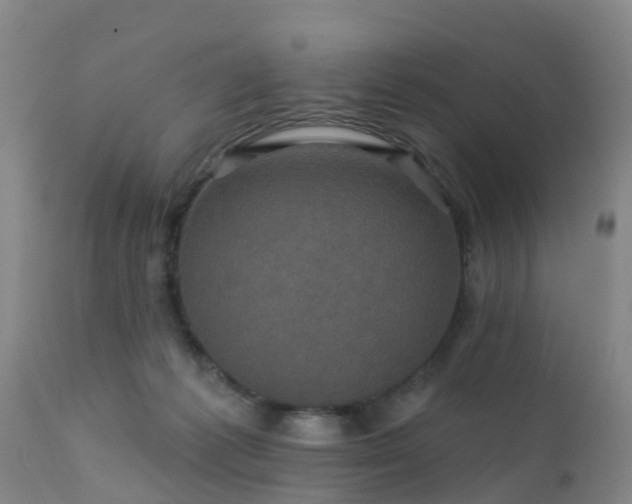 X0000112420221200908211153