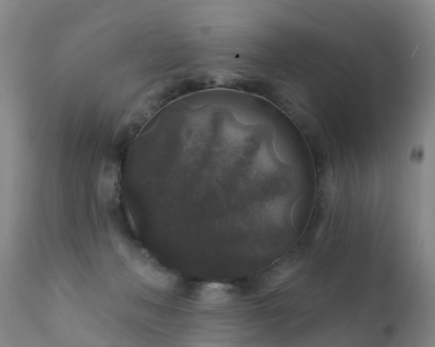 X0000112420222200908211153