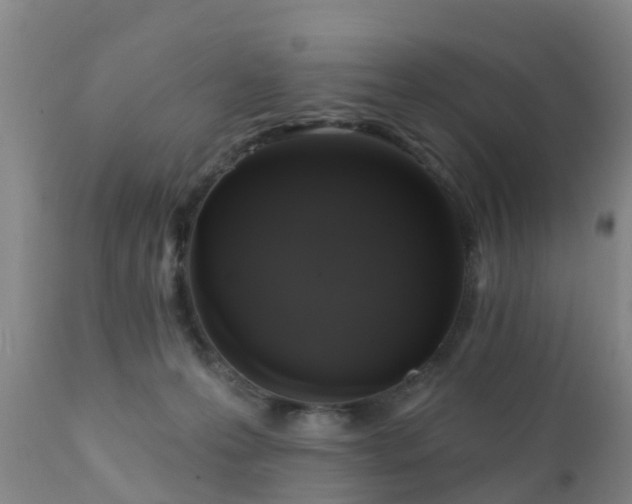 X0000112420223200908211153