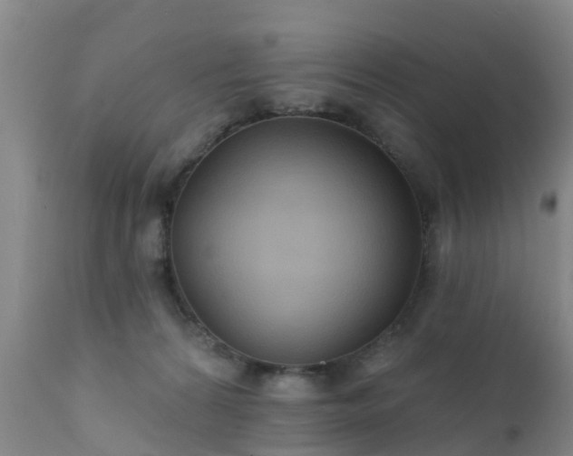 X0000112420224200908211153