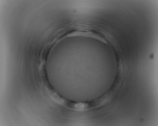 X0000112420225200908211153