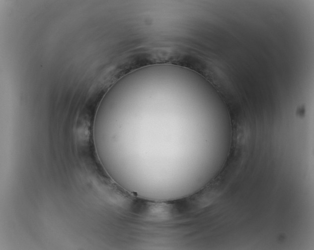 X0000112420226200908211153