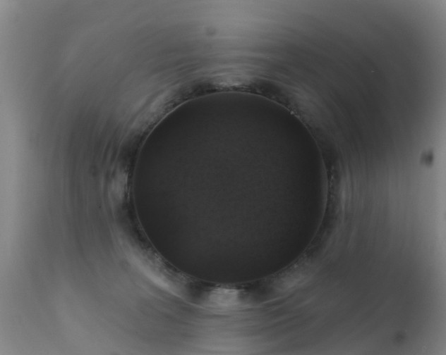 X0000112420227200908211153