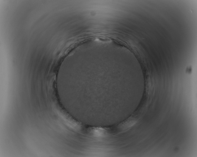 X0000112420229200908211153