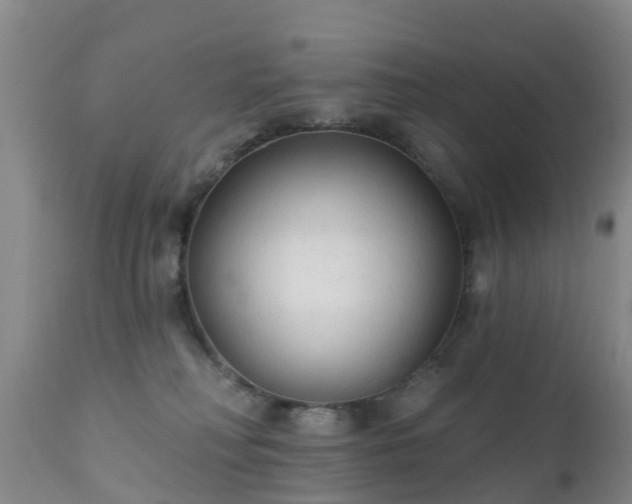 X0000112420230200908211153