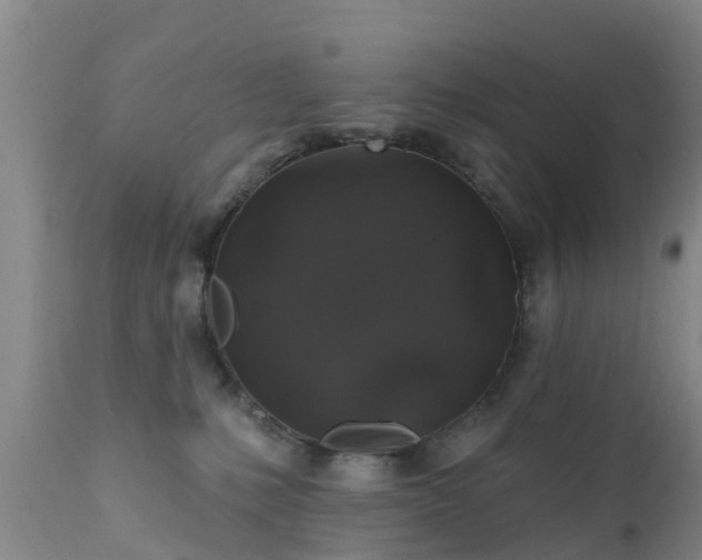 X0000112420231200908211153